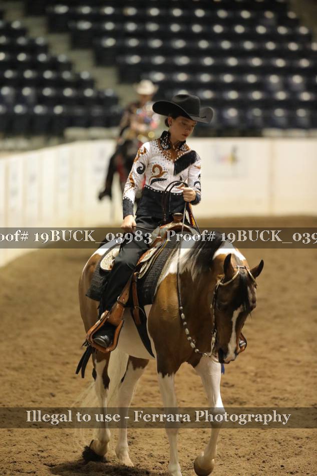 Proof 19BUCK_03983