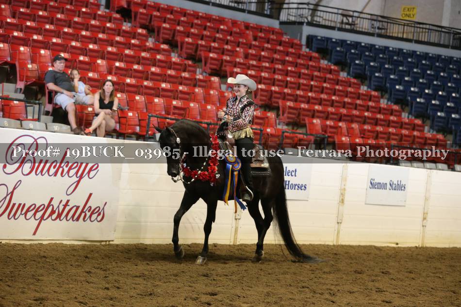 Proof 19BUCK_03985