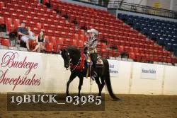 19BUCK_03985 proof