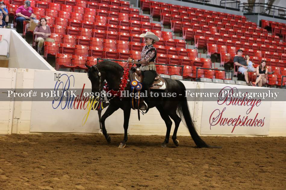 Proof 19BUCK_03986