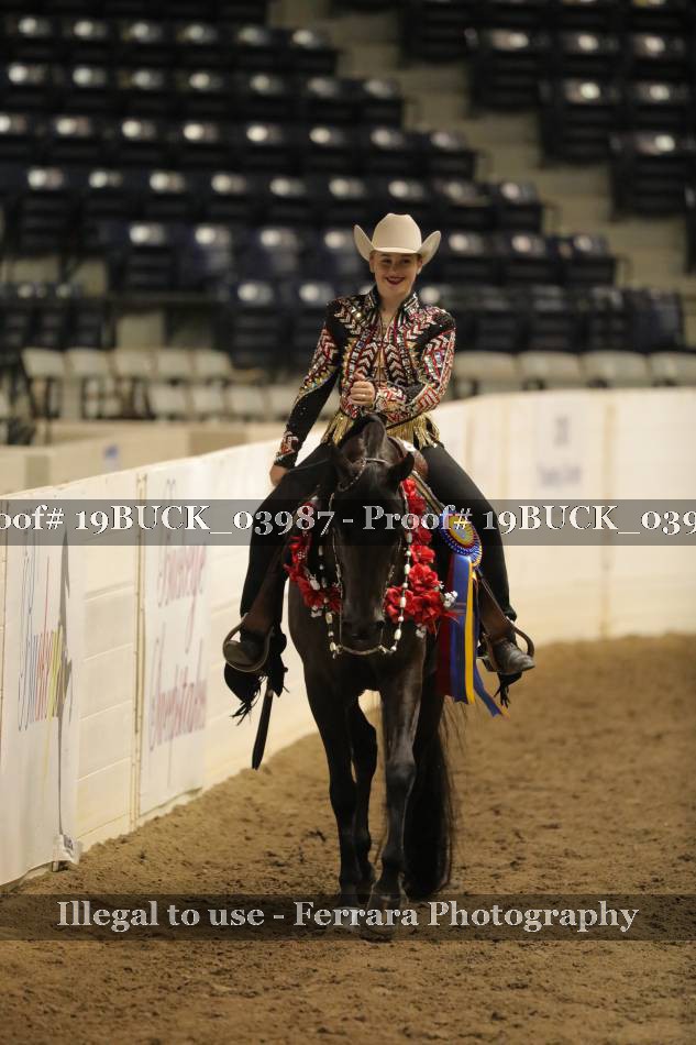Proof 19BUCK_03987