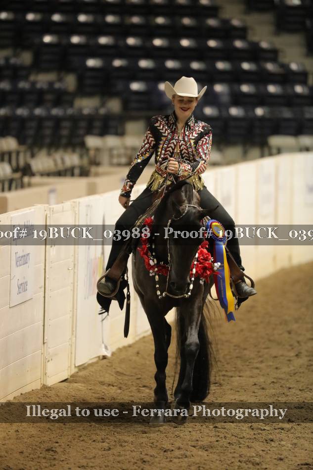 Proof 19BUCK_03988