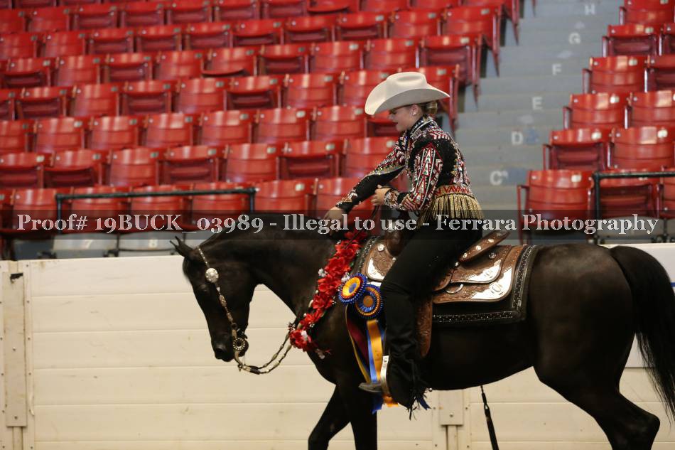 Proof 19BUCK_03989