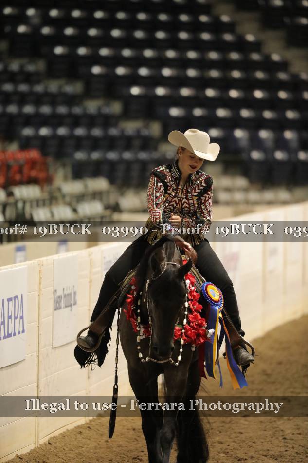 Proof 19BUCK_03990
