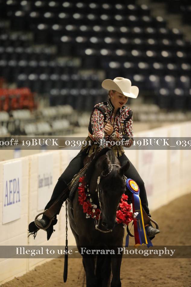 Proof 19BUCK_03991
