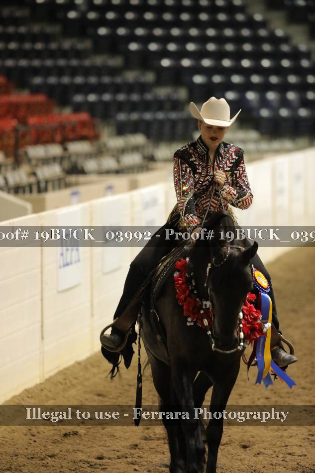 Proof 19BUCK_03992