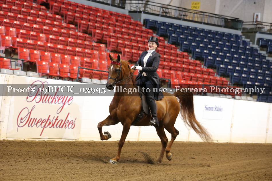 Proof 19BUCK_03995