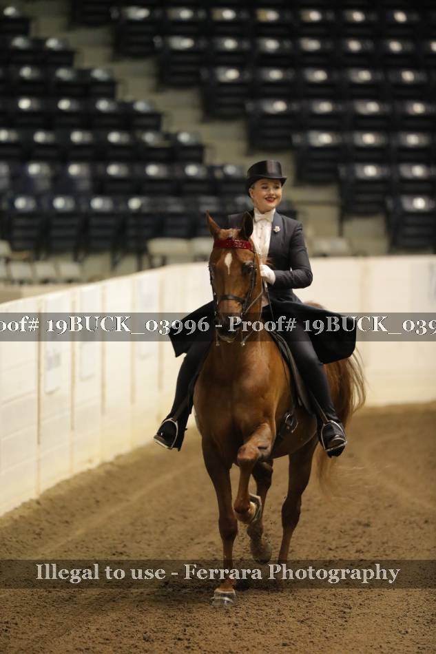 Proof 19BUCK_03996