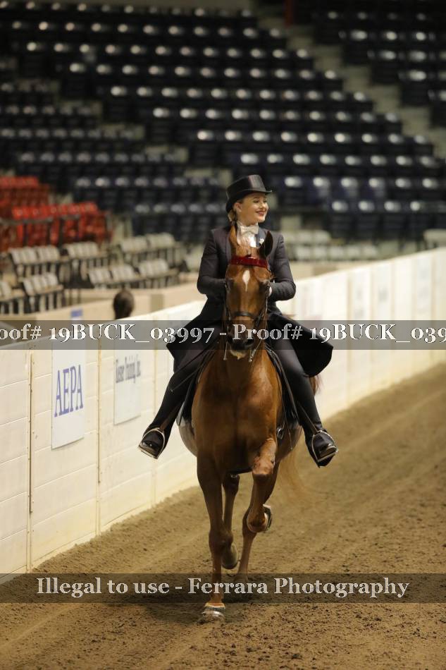 Proof 19BUCK_03997