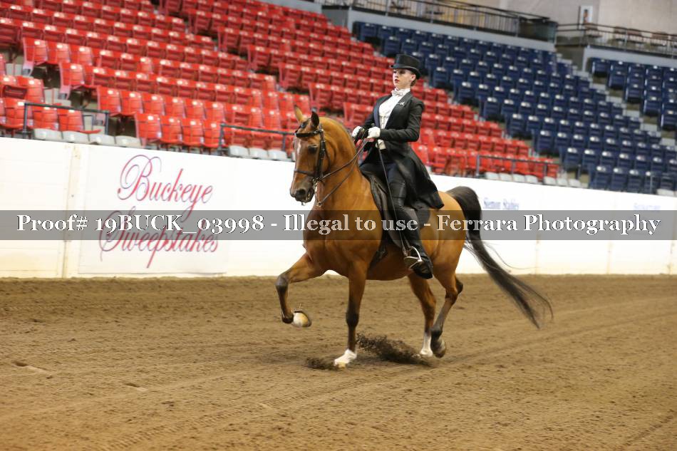 Proof 19BUCK_03998