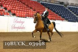 19BUCK_03998 proof