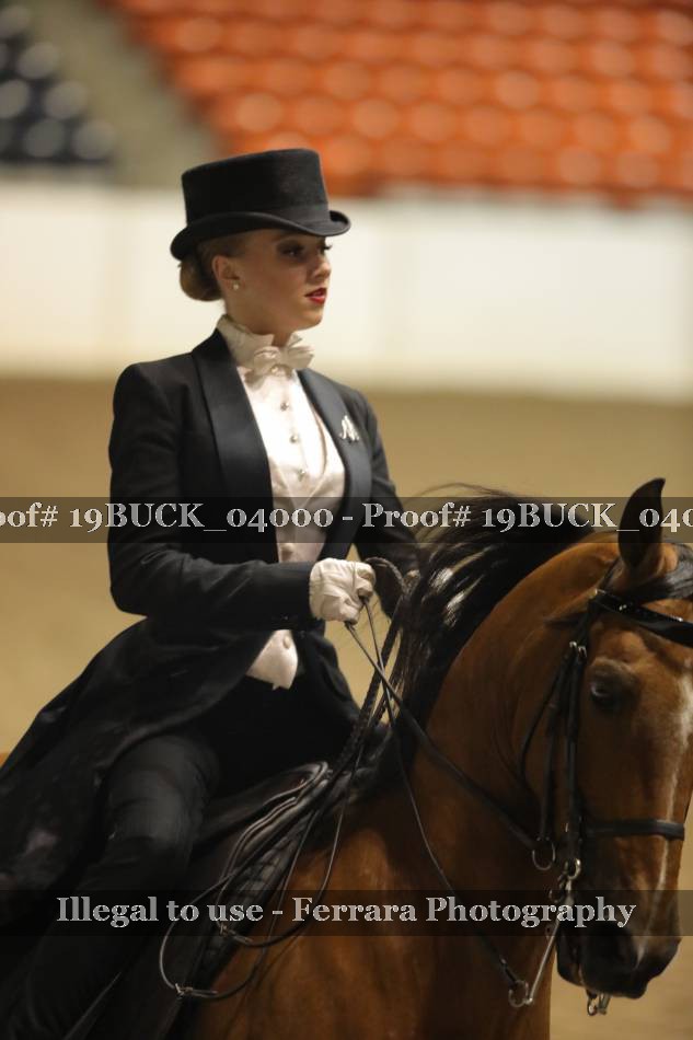 Proof 19BUCK_04000