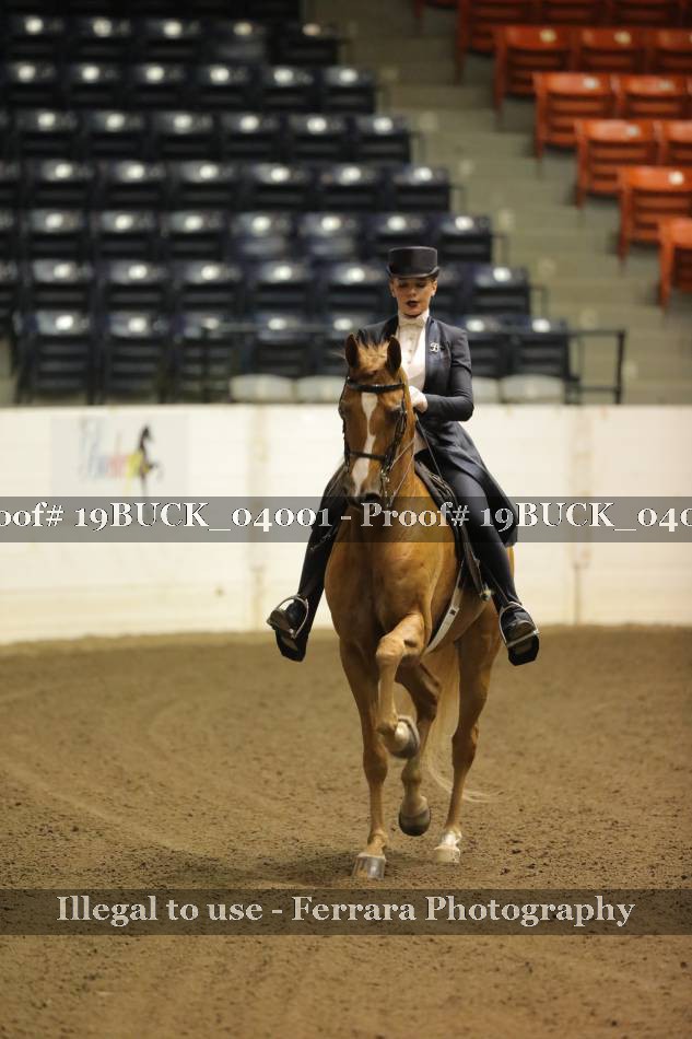 Proof 19BUCK_04001