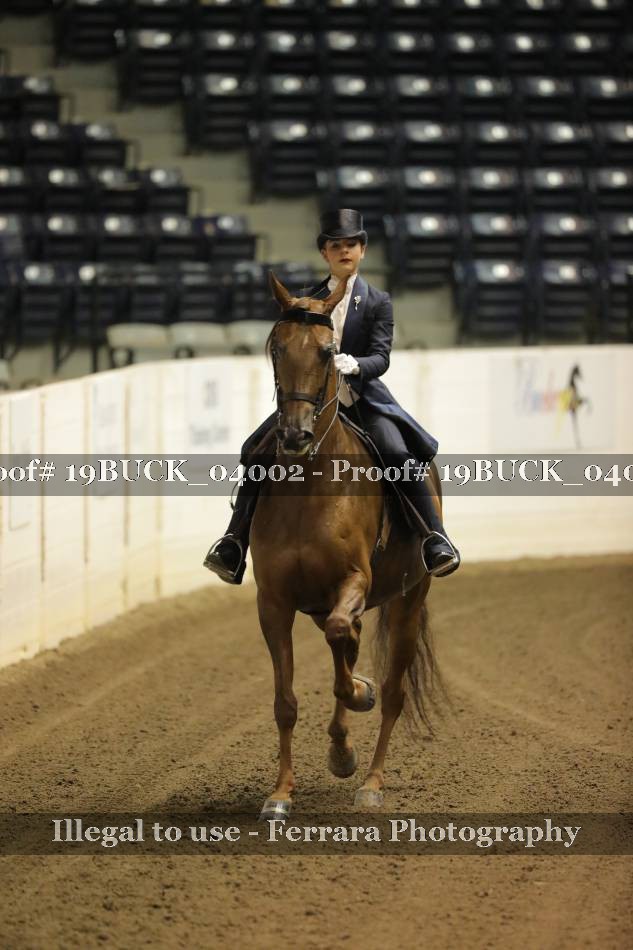 Proof 19BUCK_04002