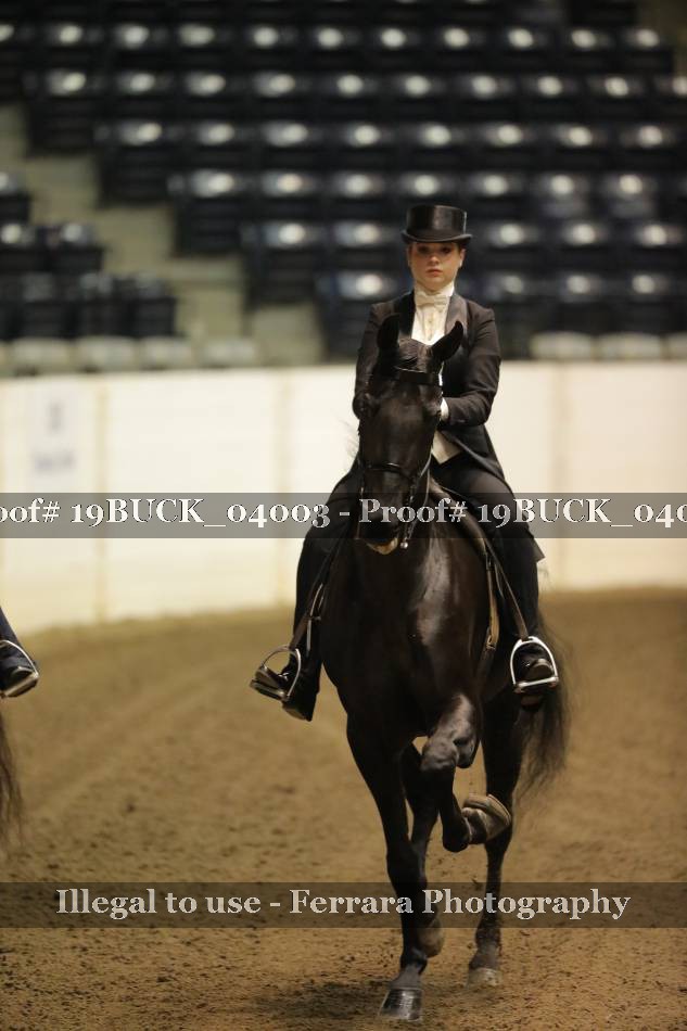 Proof 19BUCK_04003