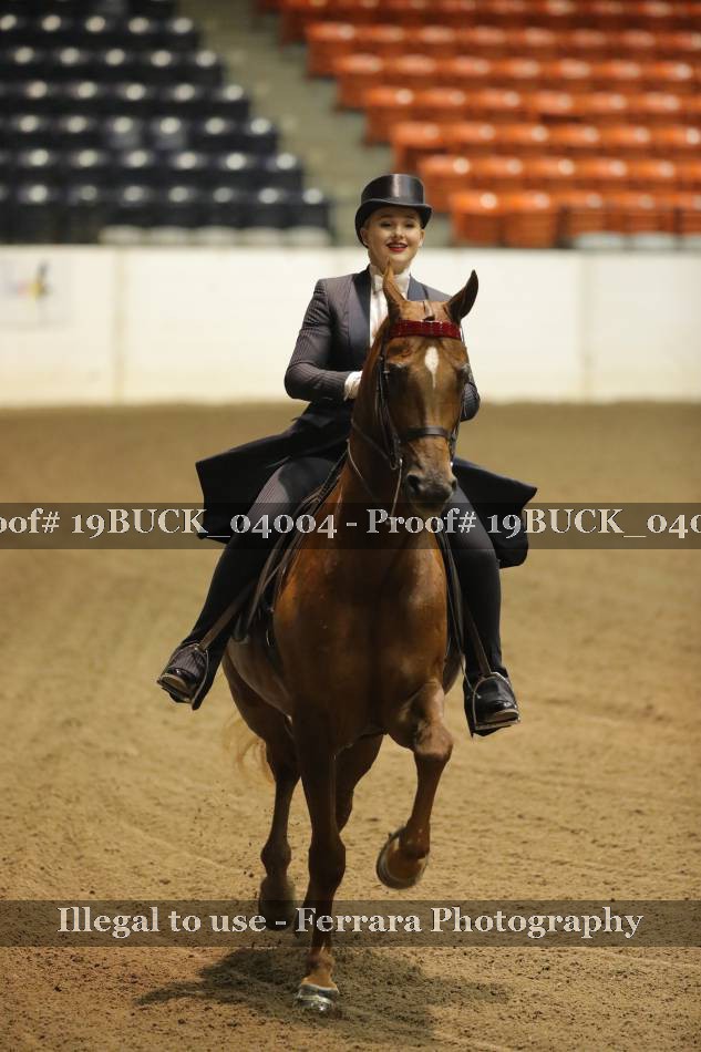 Proof 19BUCK_04004