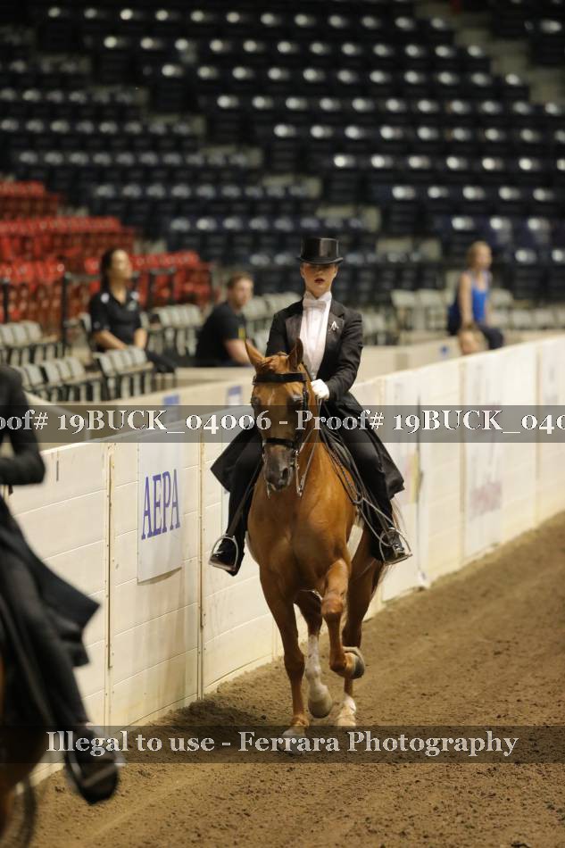 Proof 19BUCK_04006