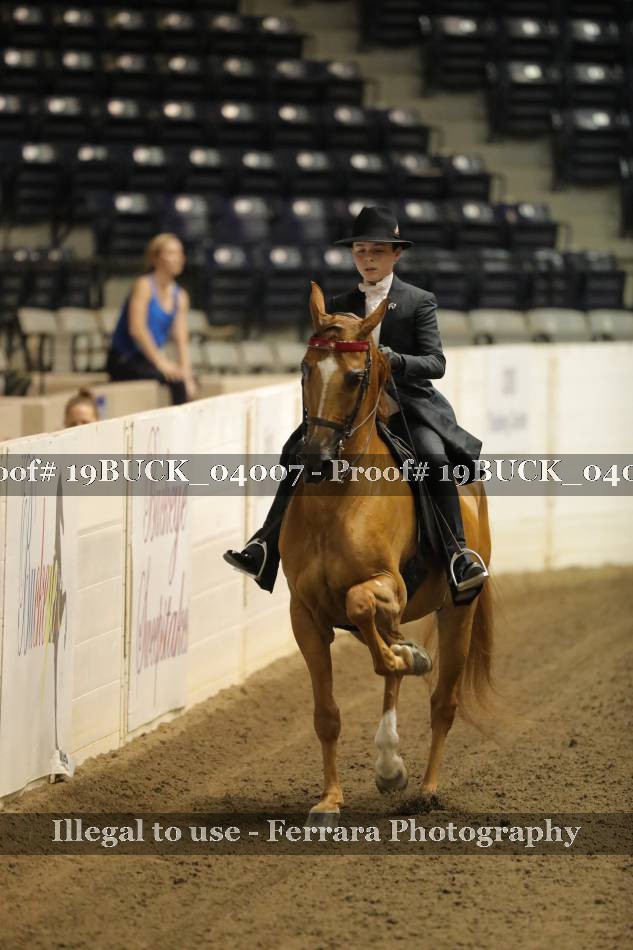 Proof 19BUCK_04007