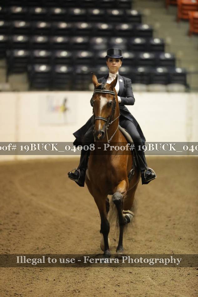 Proof 19BUCK_04008