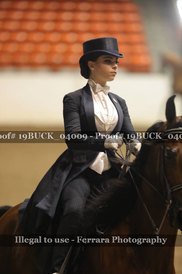Proof 19BUCK_04009