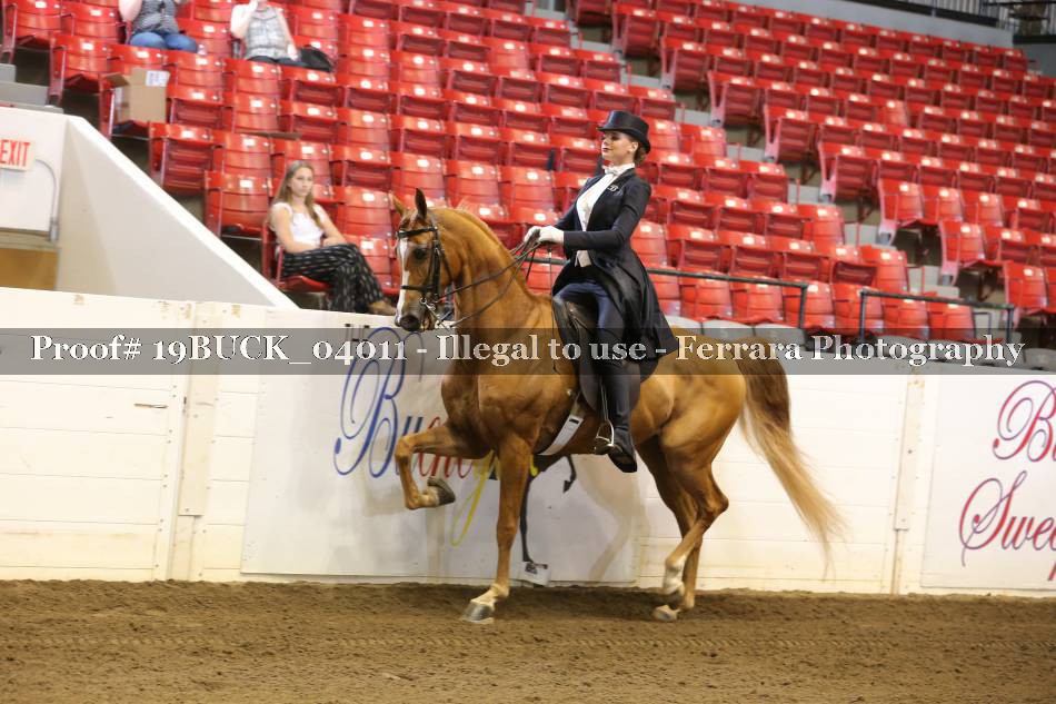 Proof 19BUCK_04011