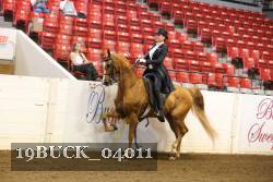 19BUCK_04011 proof