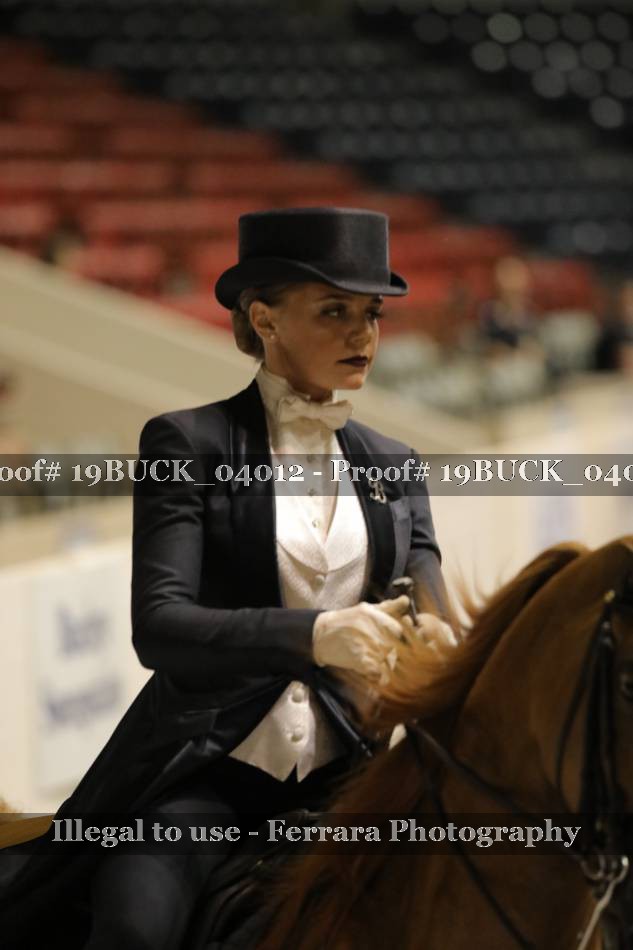 Proof 19BUCK_04012