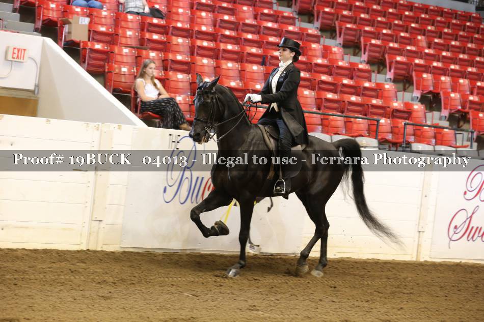 Proof 19BUCK_04013