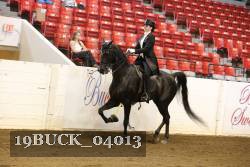 19BUCK_04013 proof