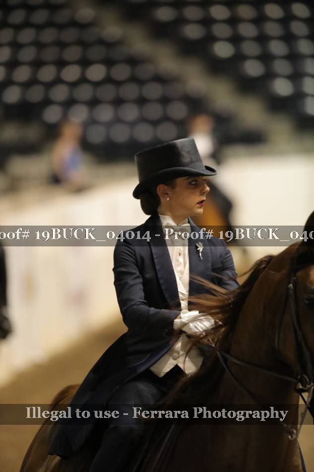 Proof 19BUCK_04014