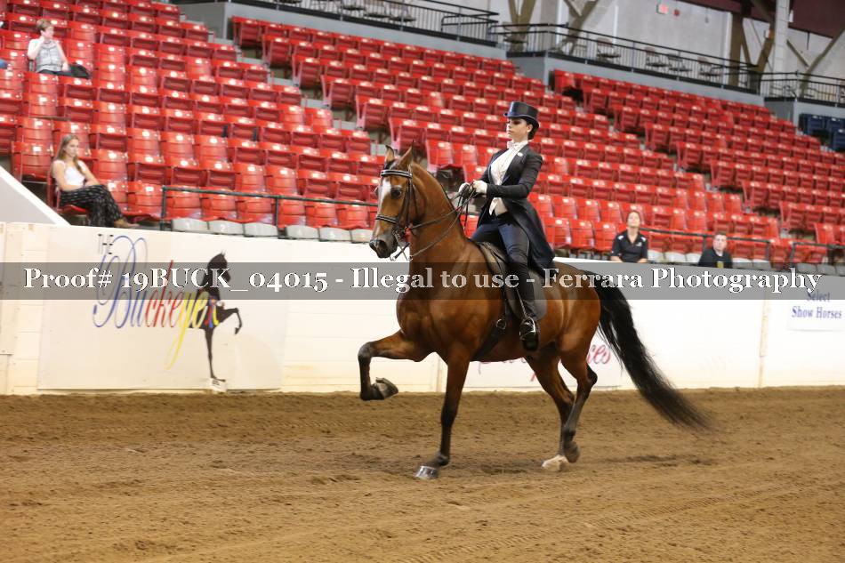 Proof 19BUCK_04015