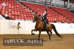 19BUCK_04015 proof