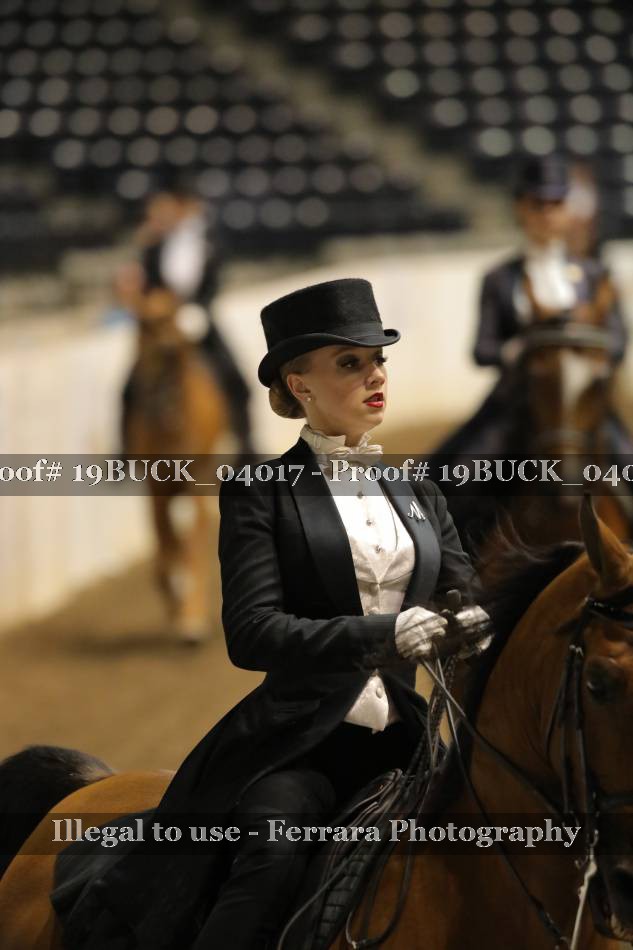 Proof 19BUCK_04017