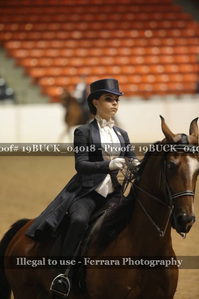 Proof 19BUCK_04018