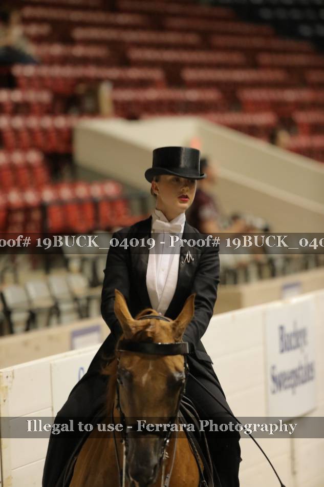 Proof 19BUCK_04019