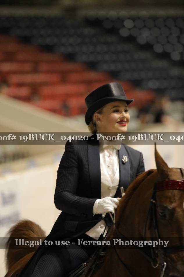 Proof 19BUCK_04020