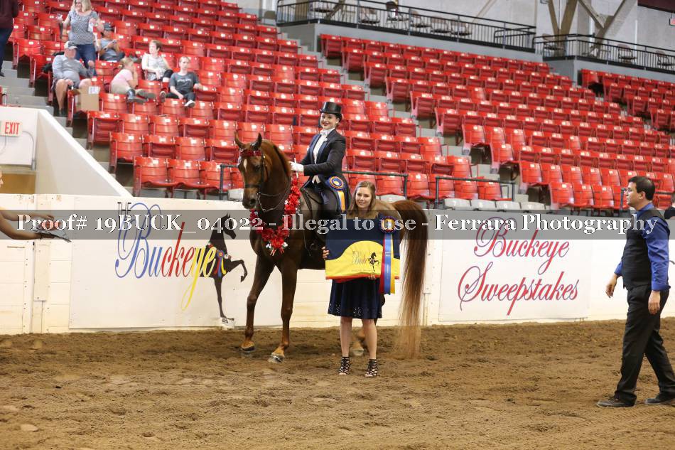Proof 19BUCK_04022