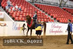 19BUCK_04022 proof