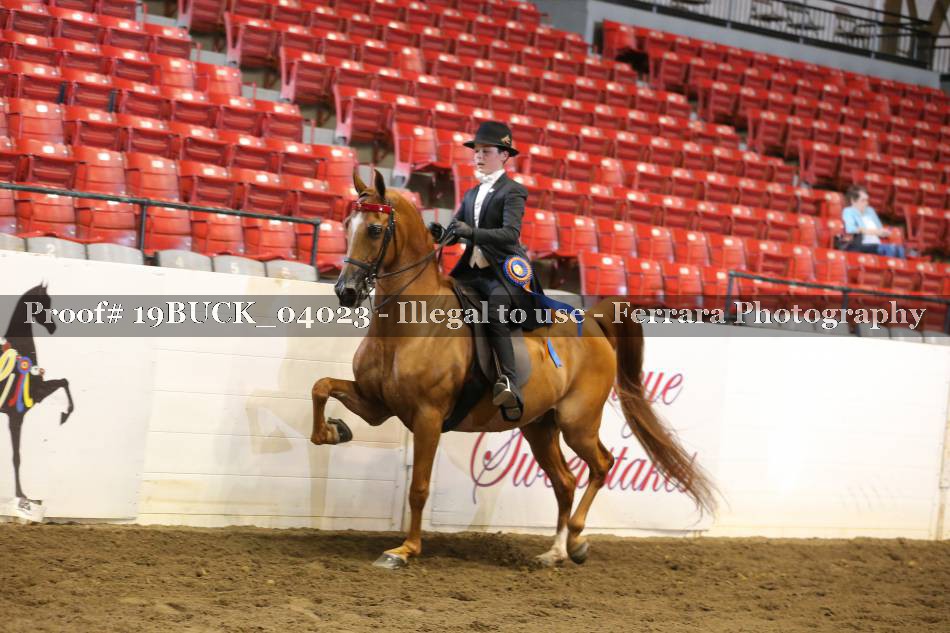 Proof 19BUCK_04023