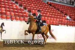 19BUCK_04023 proof