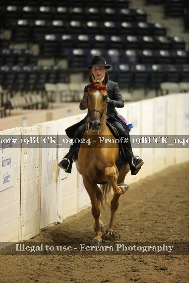 Proof 19BUCK_04024