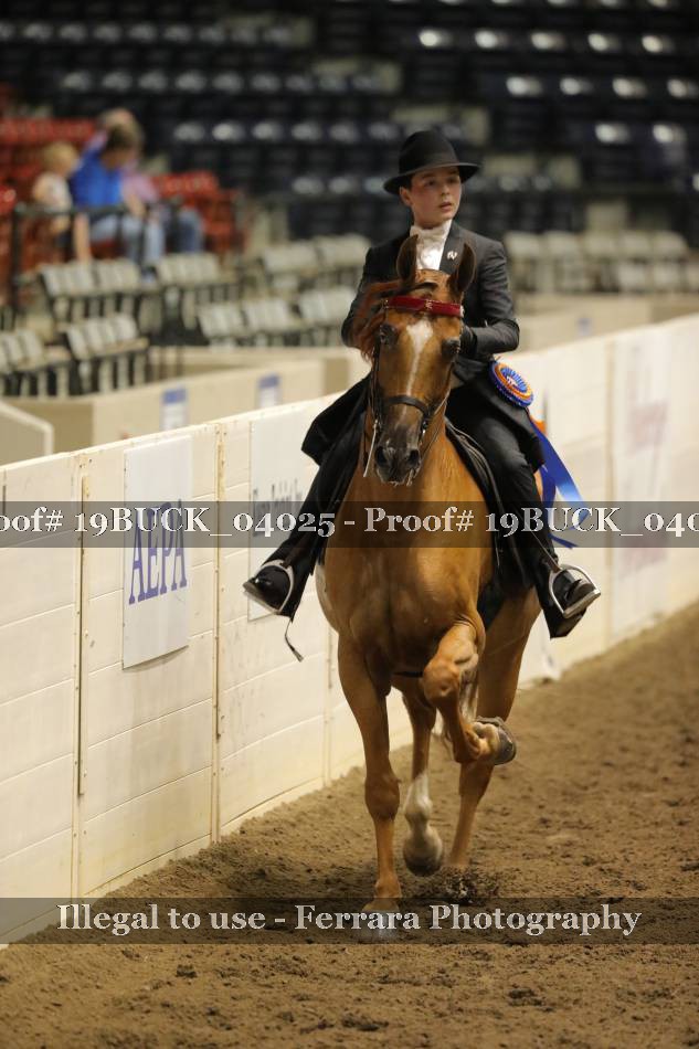 Proof 19BUCK_04025