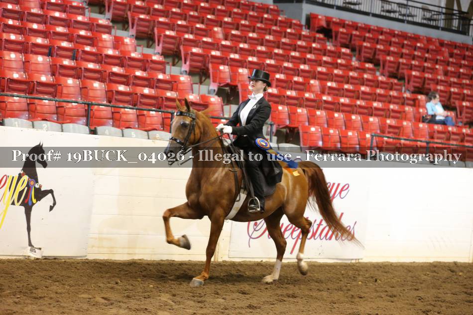 Proof 19BUCK_04026