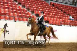 19BUCK_04026 proof