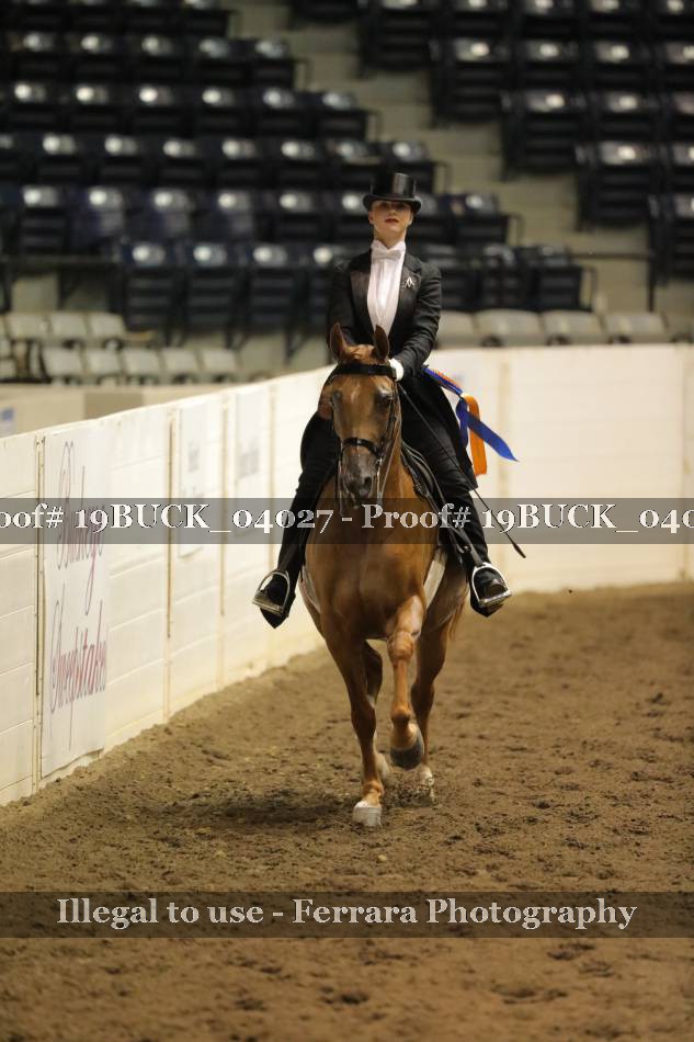 Proof 19BUCK_04027