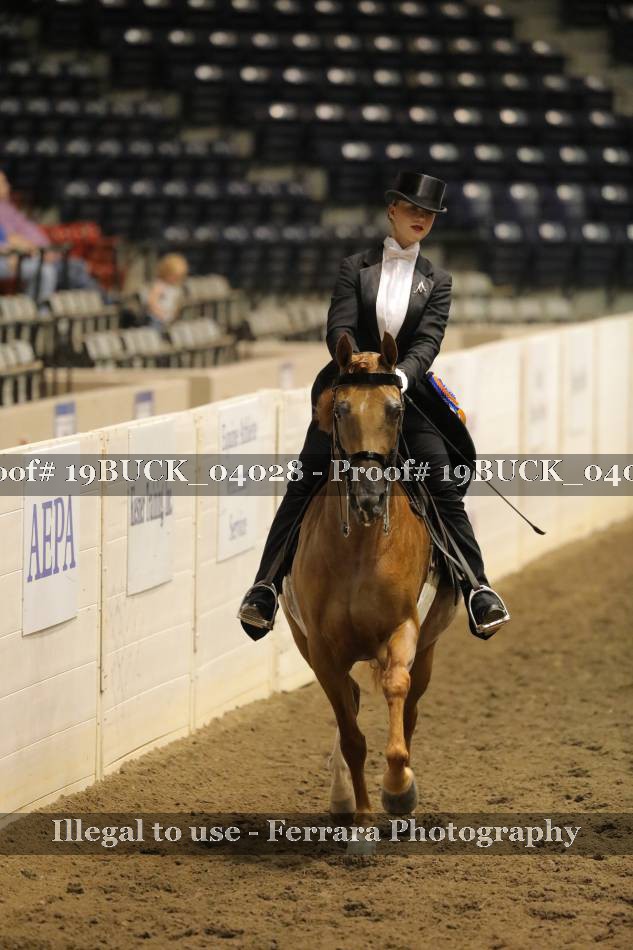 Proof 19BUCK_04028