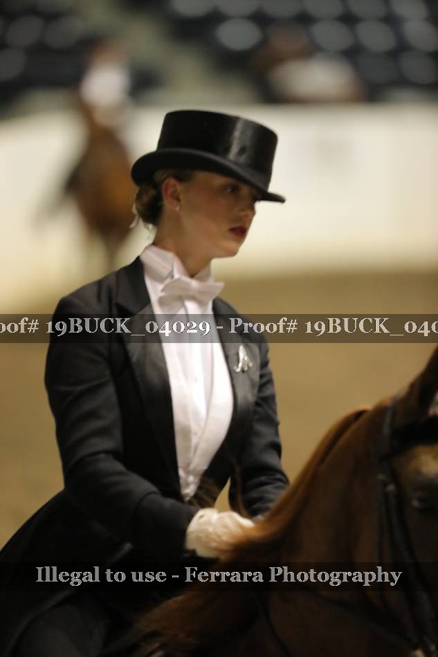 Proof 19BUCK_04029