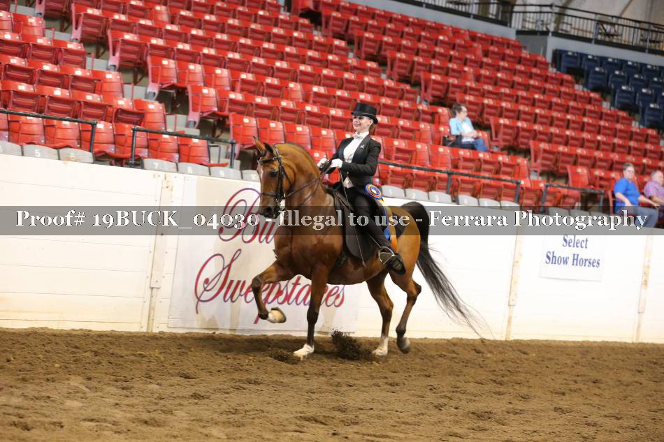 Proof 19BUCK_04030