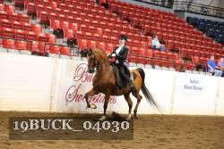 19BUCK_04030 proof