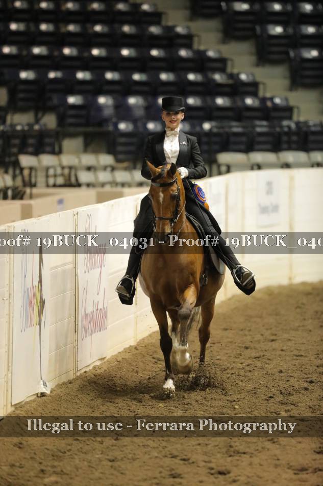 Proof 19BUCK_04031